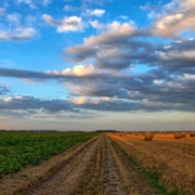 finanziamenti a fondo perduto Sicilia